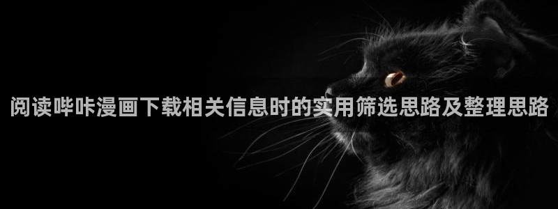 七七漫画漫画页面:阅读哔咔漫画下载相关信息时的实用筛选思路及整理思路